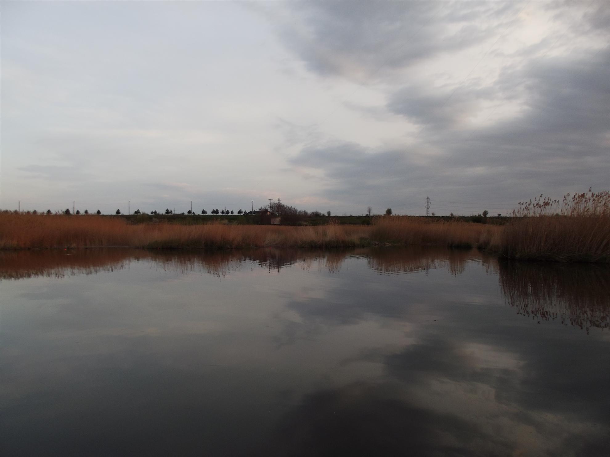 Tancabesti 19 - 21 apr. - dscf3603.JPG